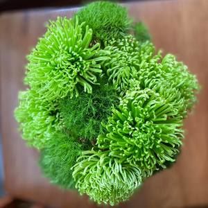 Meet your Posher, Kaley